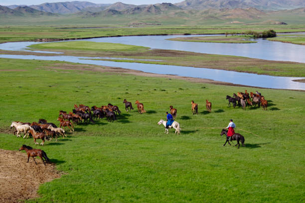 istock Horse drive 1049296386
