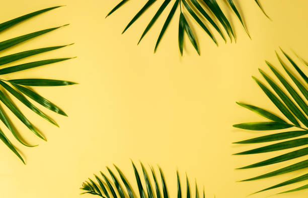 istock Palm leaves on yellow background. Summer concept. Flat lay, top view, copy space 1049299594
