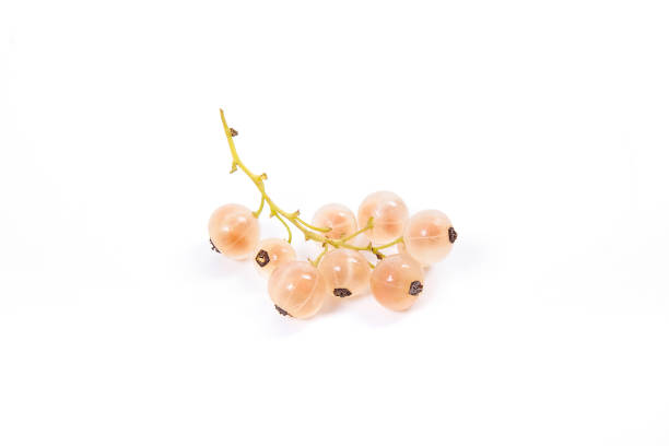 istock White currant berry isolated on white. A bunch of white currant. 1049306404