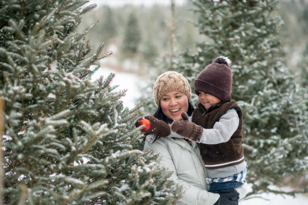 accrocher l’ornement - child winter snow asian ethnicity photos et images de collection