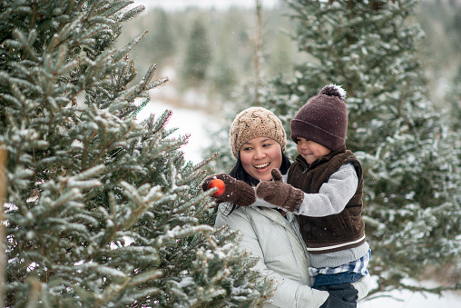 A mother and son are outdoors on a winter day. They are wearing warm clothing while picking out a Christmas tree. The boy is putting an ornament on the tree.