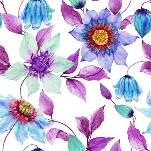 ilustraciones, imágenes clip art, dibujos animados e iconos de stock de flores de clemátide transparente en escalada ramitas contra fondo blanco. patrón floral transparente. pintura de la acuarela. ilustración pintada a mano. - textile purple translucent backgrounds