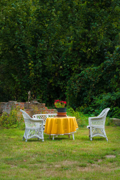 Old white rattan chairs and table in a backyard