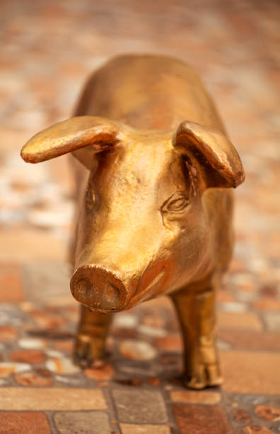 istock gold pig figure garden 1049313984