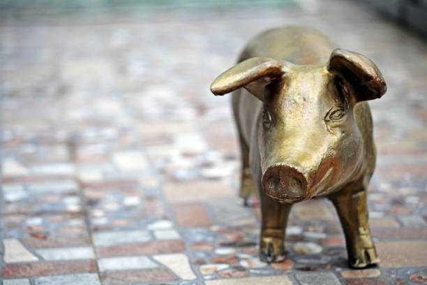 istock gold pig figure garden 1049314056