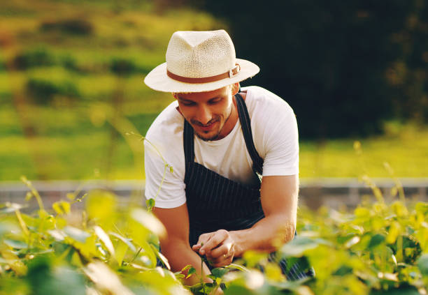 istock His gardening skills are in full bloom 1049314768