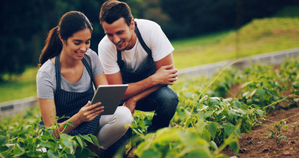 istock Keeping track of their crops with smart apps 1049314978