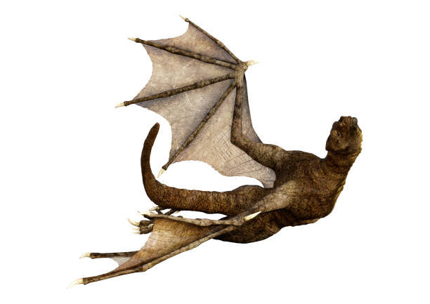 istock 3D illustration fantasy dragon on white 1049318220