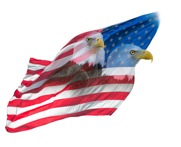 istock Double exposure  of  bald eagles on american flag. 1049321056