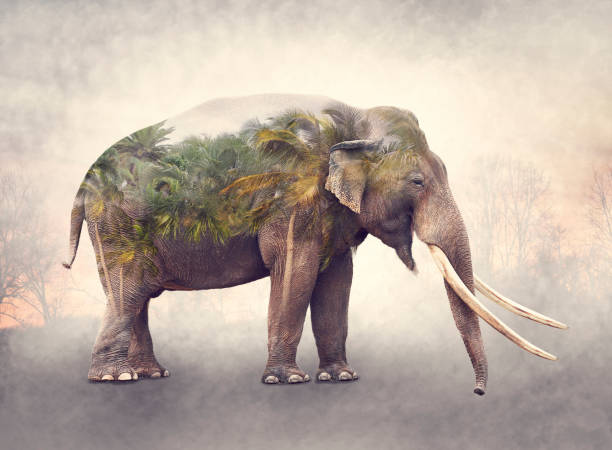 istock Double exposure of elephant and palm trees 1049321646