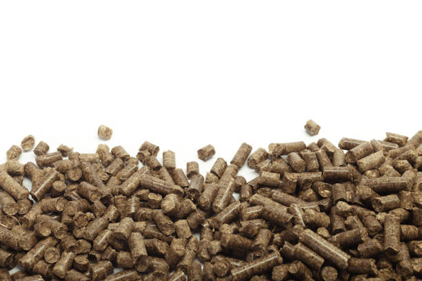 istock stack of wooden pellets for bio energy, white background, isolated 1049322140