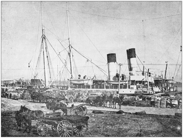 Antique photograph: Loading cotton in New Orleans Antique photograph: Loading cotton in New Orleans 1890 stock illustrations