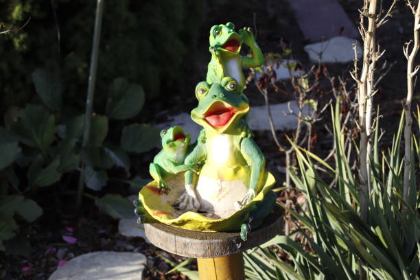 istock Happy frog in the Garden 1049332316