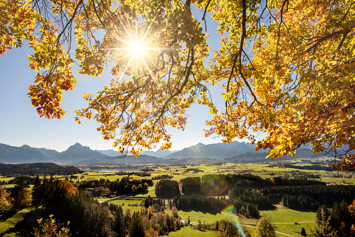 rural landscape in Bavaria at autumn