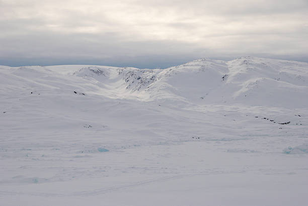 istock Ice field in Greenland 104933878
