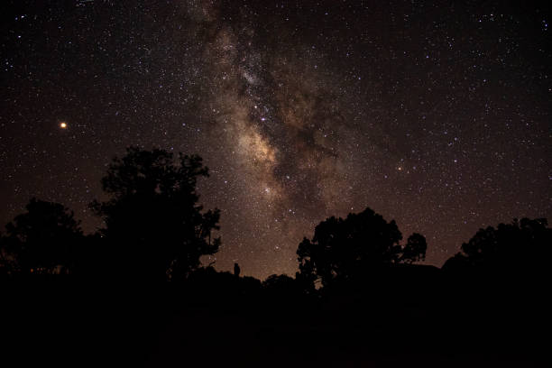 istock Grand Canyon Night Sky 1049338918