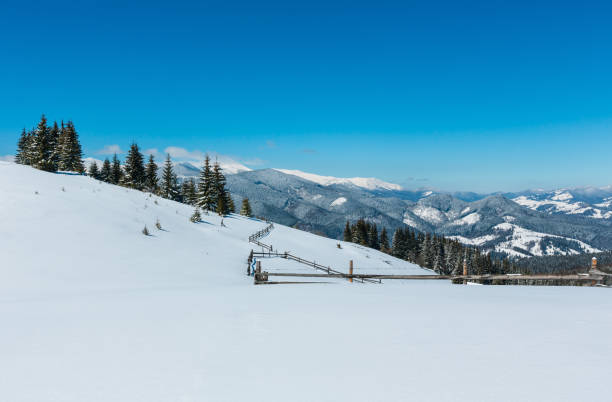 istock Winter snowy Carpathian mountains, Ukraine 1049341600