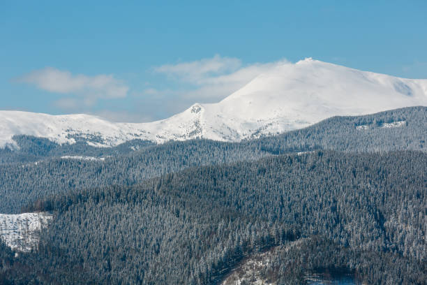 istock Winter snowy Carpathian mountains, Ukraine 1049346420