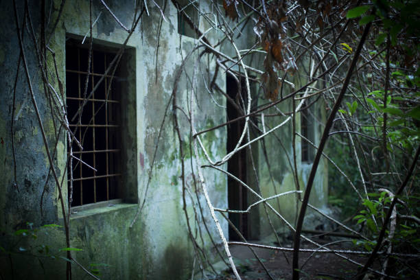 istock abandoned window with fence and vegetation 1049349604