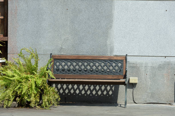 lonely wooden bench in the park - autumn street single lane road tree imagens e fotografias de stock