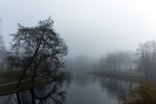 Dark deventer city park with low layer of fog.