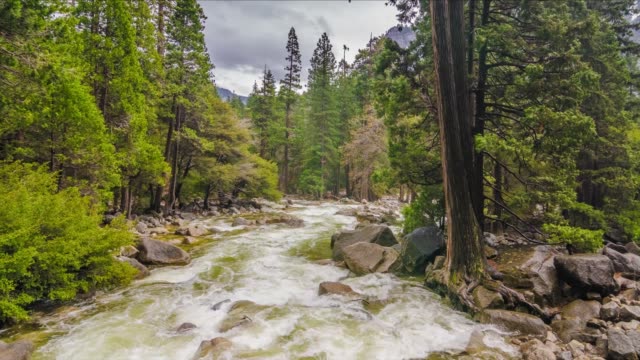 Yosemite National Park Nature, Landscape Hyperlapse - Motion Timelapse