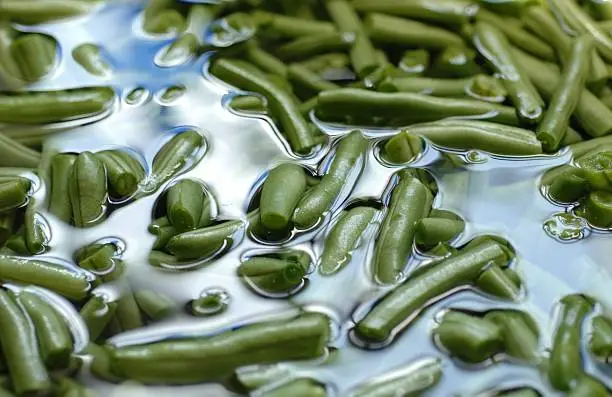 Photo of Green Beans Soaking