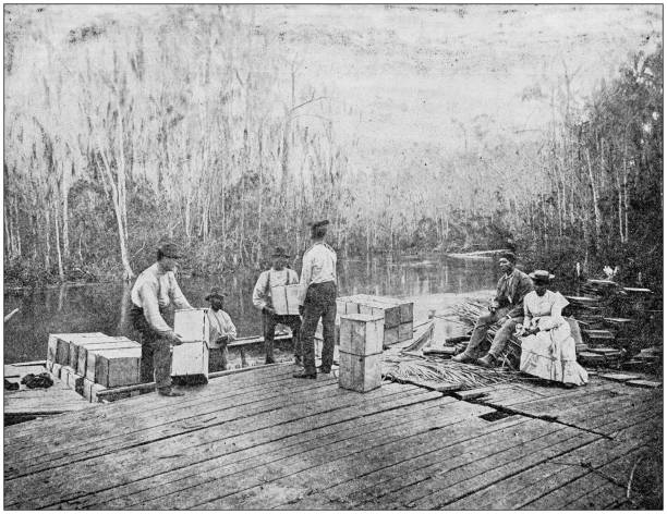 Antique photograph: Loading oranges on the Ocklawaha, Florida, USA Antique photograph: Loading oranges on the Ocklawaha, Florida, USA american slavery stock illustrations