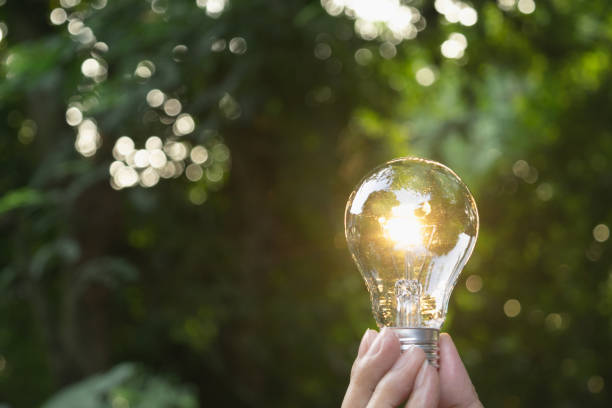 istock Hand holding light bulb in garden green nature background. 1049365548