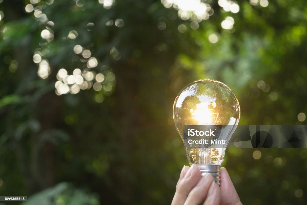 Hand holding light bulb in garden green nature background. Light Bulb Stock Photo