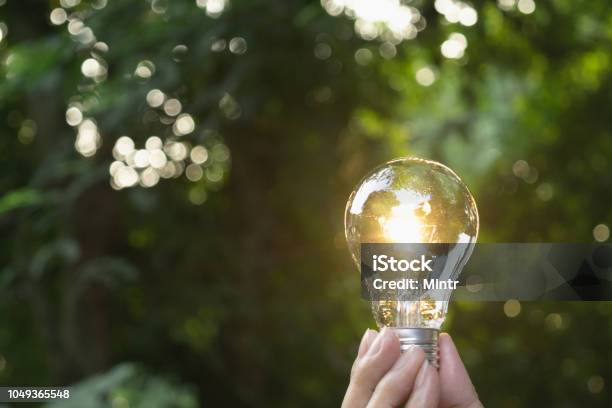 Hand Holding Light Bulb In Garden Green Nature Background Stock Photo - Download Image Now
