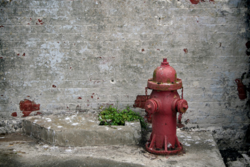 A single red fire hydrant beside a brick wall.