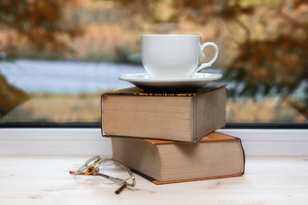 istock Autumn day in the library 1049368416