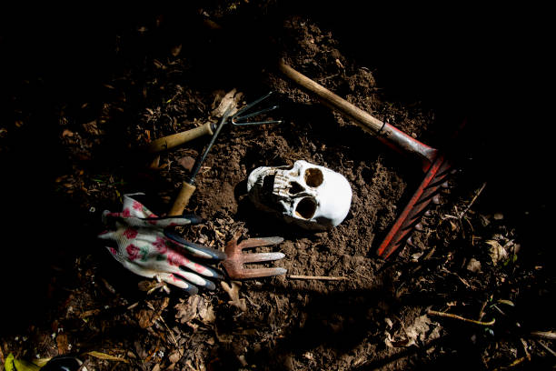 istock Human skeleton head in the ground 1049369838