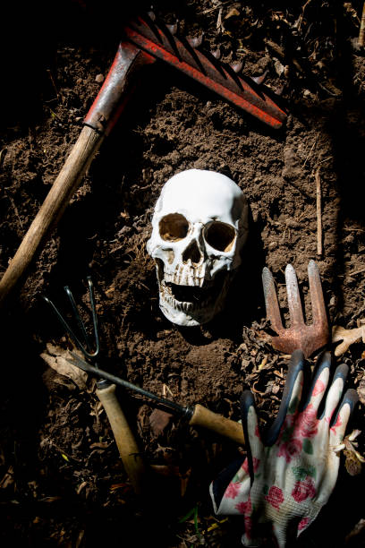 istock Human skeleton head in the ground 1049372618