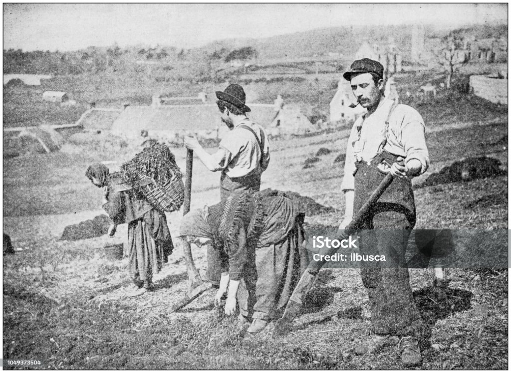 Antique photograph: Planting Potatoes in Skye Farmer stock illustration