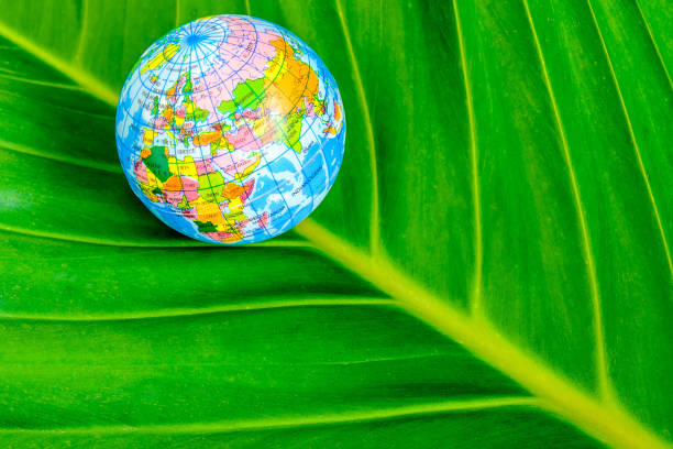 istock World with nature and love the world Concept. 1049373942