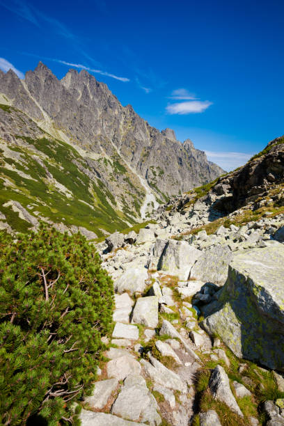 istock Slovakian Velka Studena Dolina Tatra 1049376824