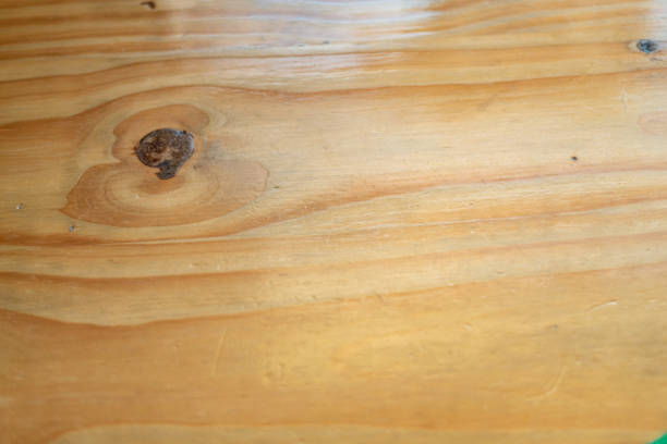 istock Wooden allowence in focus 1049377474