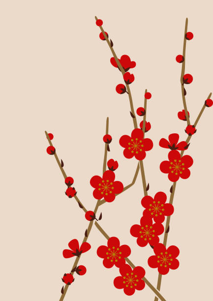 Image material of red plum blossoms.Image of spring of Japan. Japanese pattern design material. Material collection of New Year. Illustration of spring image. Illustration of spring image.
Japanese pattern design material. plum blossom stock illustrations