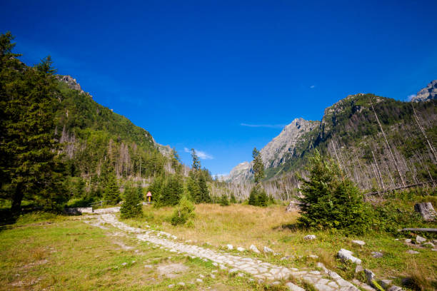 istock Slovakian Velka Studena Dolina Tatra 1049380754
