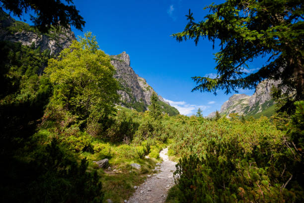 Beautiful Velka Studena Dolina - in slovakian High Tatra mountains. Beautiful summer panorama - path from Stary Smokovec via Hrebienok to Zbojnicka Chata