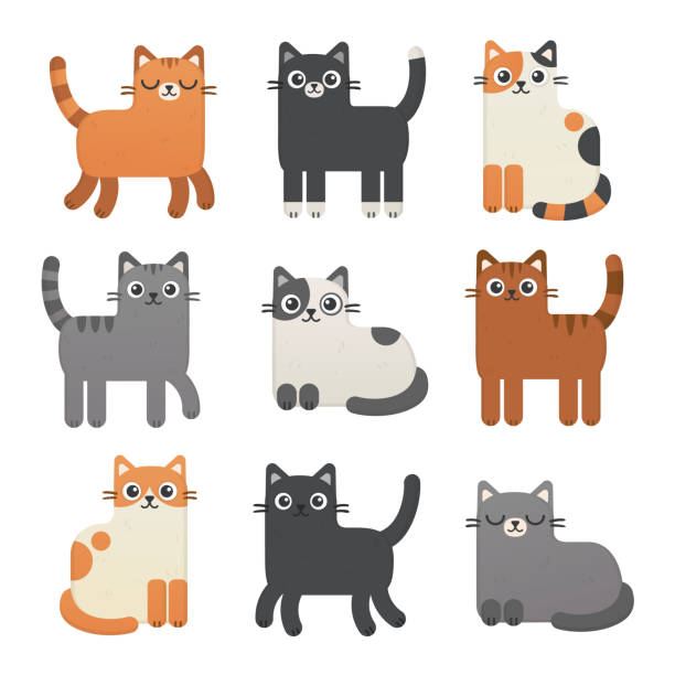 Cute cats vector set. Kittens of different colours: calico, tabby, red, gray, black undomesticated cat stock illustrations