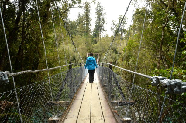 istock Woman on the Bridge in hokitika gorge 1049385512