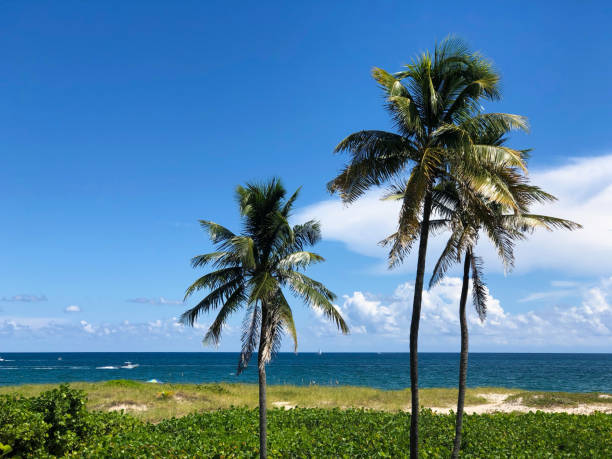 istock Lauderdale By The Sea Beach 1049388512