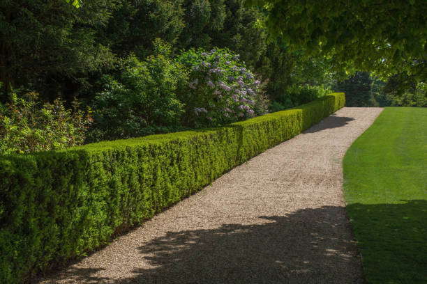 istock Gravel path by grass lawn 1049389244