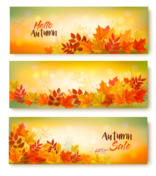 ilustraciones, imágenes clip art, dibujos animados e iconos de stock de tres banners de venta de otoño con hojas de colores. capas vectoriales - backgrounds blackboard education environment