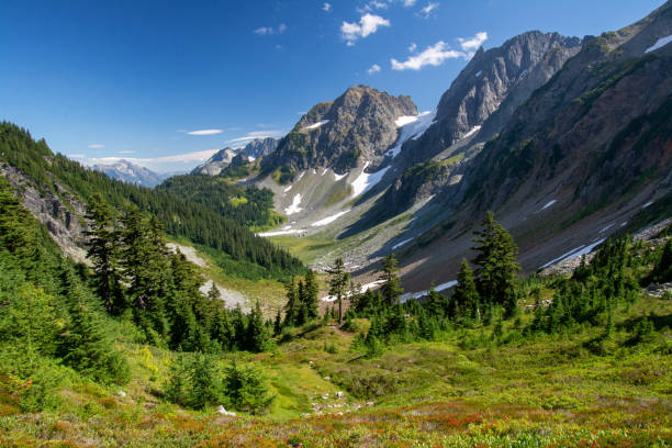 カスケード峠ノースカスケード国立公園で - north cascades national park ストックフォトと画像