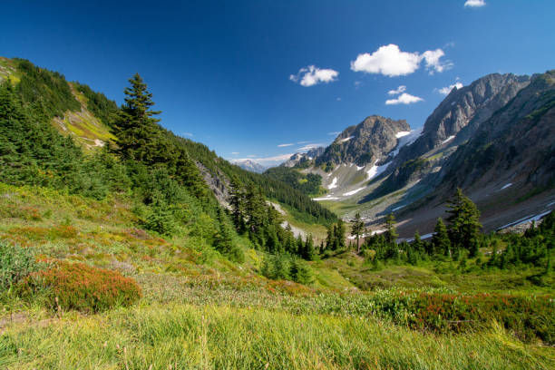 istock Cascade Pass in North Cascades National Park 1049400060