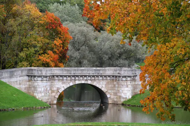 Old stone bridge in the old park